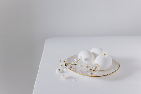 Beautiful branch with white blossom and eggs on a white background. Minimal concept. Place for text.の写真素材
