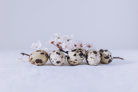 Beautiful branch with white blossom and eggs on a white background. Minimal concept. Place for text.の写真素材