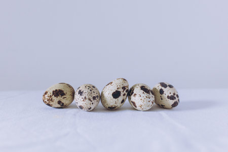 Quail eggs on a white background. Minimal concept. Place for text.の写真素材