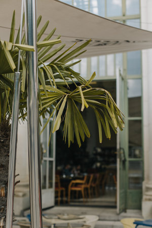 Empty cafe on a street in Vienna, Austria. Selective focus. Travel destination in Austria.の写真素材
