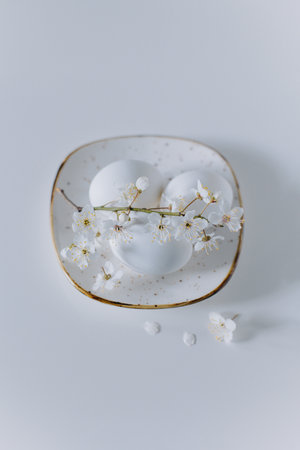 Beautiful branch with white blossom and eggs on a white background. Minimal concept. Place for text.の写真素材