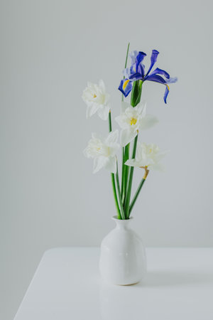 Bouquet of tender Daffodil (narcissus) and Iris flowers in a vase on a white table. Place for text.の写真素材