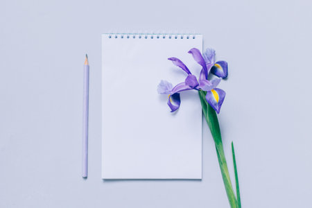 Notebook with blank page, pencil and purple Iris flower on light purple background. Flat lay. Place for text.の写真素材