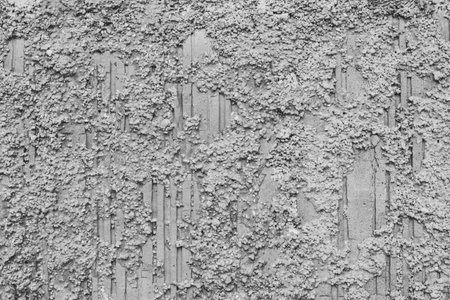 Gray Stone Texture or Background in monochrome. Black and White. Close-up.の写真素材