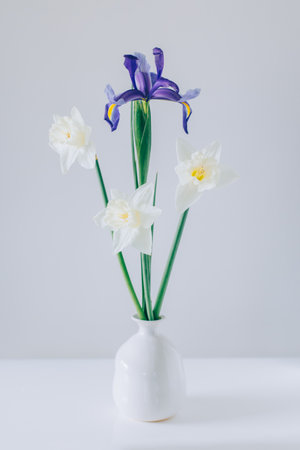 Bouquet of tender Daffodil (narcissus) and Iris flowers in a vase on a white table. Place for text.の写真素材