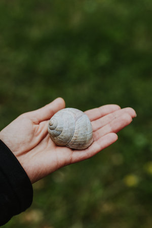 Cute snail on a woman's hand. Close-up. Place for text.の写真素材