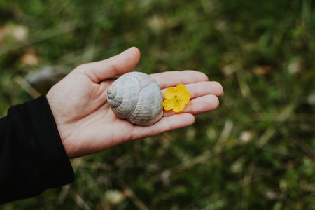 Cute snail on a woman's hand. Close-up. Place for text.の写真素材