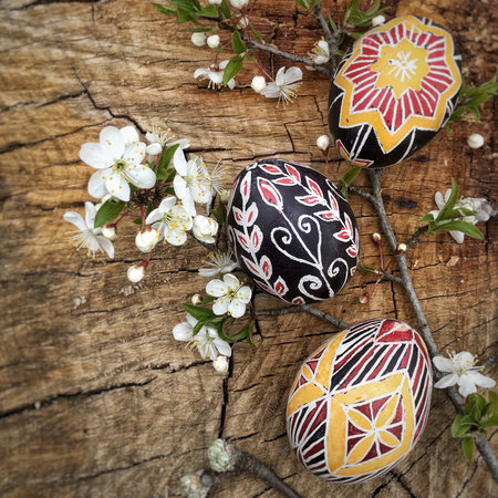 Traditional Ukrainian Easter eggs Pysanka in black, red and yellow colors with cherry blossom on a wooden background. Easter still life. Modern minimalism.の写真素材
