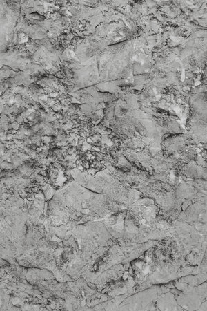 Gray Stone Texture or Background in monochrome. Black and White background. Close-up.の写真素材