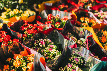 Beautiful colorful Flaming Katy or Florist Kalanchoe flowers in a Flower shop. Selective focus.の写真素材