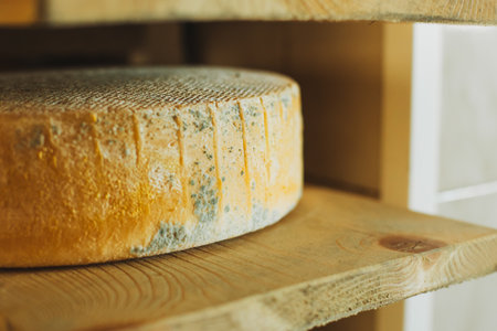 Head of old cheese on a shelf at a cheese factory. Close up.の写真素材