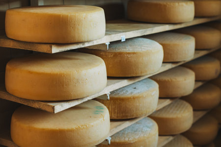 Heads of old cheese on a shelfs at a Italian cheese factory. Close up.の写真素材