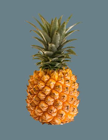 Ripe pineapple fruit on an isolated background.の写真素材