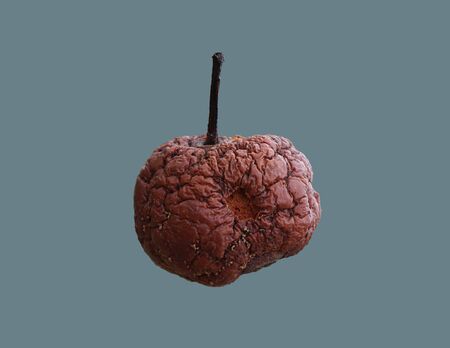 Dry and spoiled apple on an isolated background.