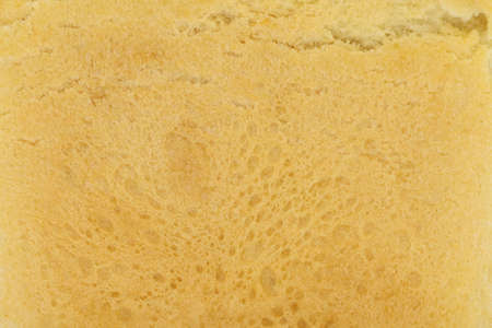 The texture of the crust of baked fresh white bread.