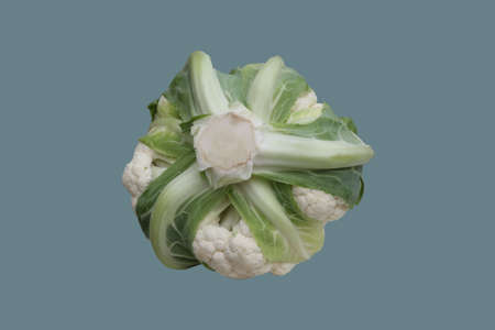 Head of cauliflower, white cabbage on isolated backgroundの写真素材