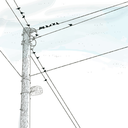 sparrow sitting on a electric wireのイラスト素材