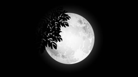 Moon. Branch tree on background of full moon. Vector illustration.のイラスト素材