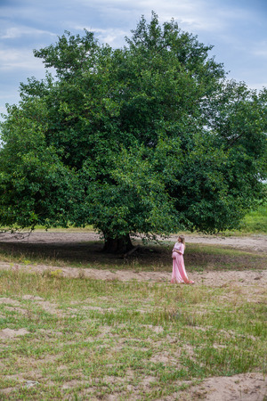 Pregnant woman on the background of a large beautiful tree, stands in a long pink dress, hugging her bellyの写真素材