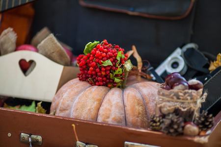 Autumn Background. Outdoor picnic with vegetables, fruits and berries in caseの写真素材