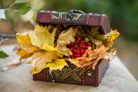 Autumn Background. Outdoor picnic with Box with autumn leaves and cranberriesの写真素材