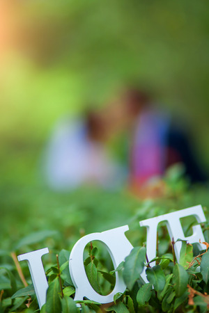 Word Love made with white  letters over the wooden surface on a green bush, Wedding composition, backgroundの写真素材