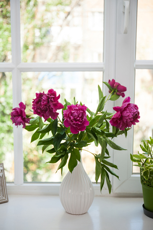 Red peonies in the vase on the windowの写真素材
