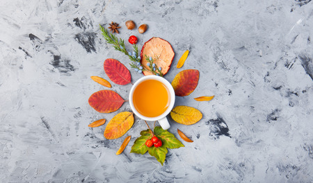 dark autumn still life with tea or coffee cup leaves pattern berries apple anise star pine on the grey backgroundの写真素材