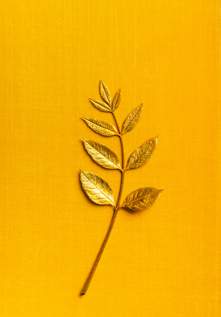 Golden Autumn Branch on the textured Orange background with copy space for design wedding cards, valentines day, greeting cardsの写真素材