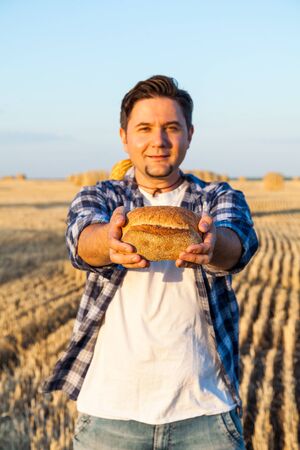 successful agriculturist in field of wheat. harvest time