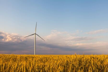 Turbine Green Energy Electricity Technology Concept. Wind generator turbine on wheat field and...