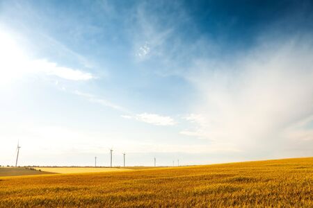 Turbine Green Energy Electricity Technology Concept. Landsape with Windmills on wheat field and blue...