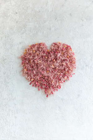 A large fluffy heart of pink ribbons and feathers on a gray textured wall. holiday decorationsの写真素材