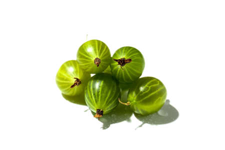 Group of five green gooseberrys on isolated white background. Close up view