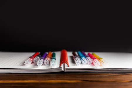 Set of multi-colored acrylic markers on opened notebook with black