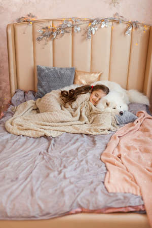 Smiling sleepy cute little girl hugging big white fluffy Samoyed dog at home with Christmas decorations, in the bedroom on the bedの写真素材