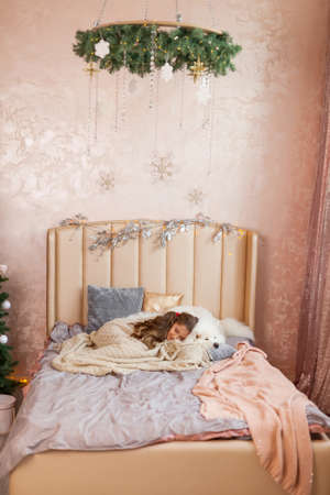 Smiling sleepy cute little girl hugging big white fluffy Samoyed dog at home with Christmas decorations, in the bedroom on the bedの写真素材
