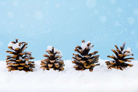 Christmas background, cones on snow with copy space. New Year's, holiday, christmas, decoration