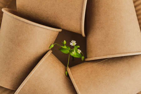 environmentally friendly. Recycling or the concept of zero waste, made from disposable cardboard glasses with a green branch with leaves. View from the top.の写真素材