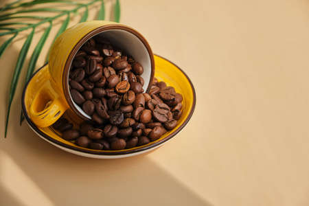 Arabica coffee beans spills out of the bright exotic yellow cup on beige background with shadows of...
