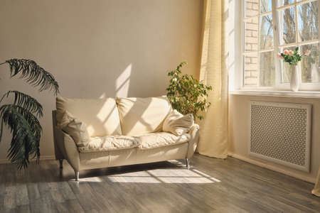 Clean livilg room with white leather couch, houseplants and morning light from the windowの写真素材