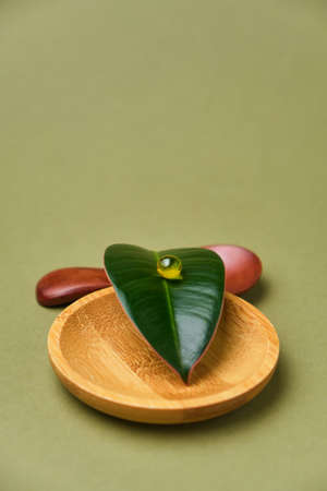 Round herb capsule with antioxidant on fresh green leaf. The concept of medicine, a source of natural energyの写真素材