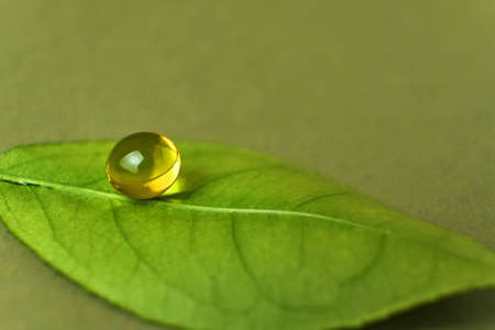 Round herb capsule with antioxidant on fresh green leaf. The concept of medicine, a source of...