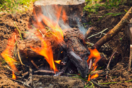Bonfire. Campfire in nature. Burning Wood with smoke. Close up of woods burning in fire place