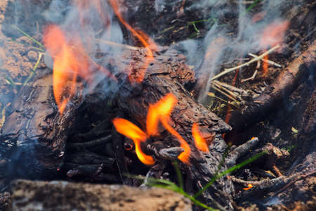 Bonfire. Orange flame of a fire. Bonfire on the grill with smoke. Arson or natural disaster. Bonfire close. Fire in nature. Bonfire background.の写真素材