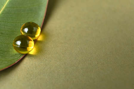 Round herb capsules with antioxidant on fresh green leaf. The concept of medicine, a source of natural energy. Copy spaceの写真素材
