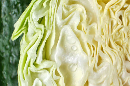 Cabbage swing pattern half sliced with macro viewの写真素材