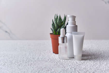 Natural Cosmetic oil, serum, gel with aloe vera extract in different containers and small pot of aloe on white background. Organic cosmetics. Cosmetics unbranding mock-upの写真素材