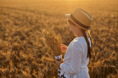 Happy girl walking in golden wheat, enjoying the life in the field. Little girl in a wheat field. Girl holding ears of wheat in her hands. Image with selective focusの写真素材