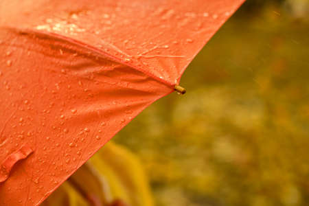 rain drops falling from a orange umbrella. Autumn weather conceptの写真素材